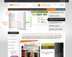 Site web scs-laboutique.com